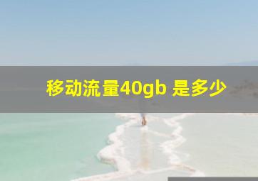 移动流量40gb 是多少